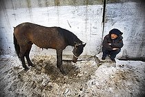 Biosphoto | 1254253 | Homme se reposant près de son cheval au marché aux animaux | &copy; Santiago Vidal / Visual and Written - Photo Collection / Biosphoto