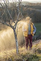 Biosphoto | 2436464 | Homme traitant un abricotier en hiver. Traitement d'un abricotier en hiver avec un produit bio (huile végétale émulsionnée) | &copy; Jean-Michel Groult / Biosphoto