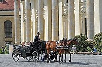Biosphoto | 1601595 | Horse drawn carriage on the Gendarmenmarkt in Berlin, Germany, Europe | © Walter G. Allgoewer / imageBROKER / Biosphoto