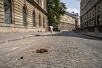 Biosphoto | 2588037 | Horse droppings on a cobblestone street following the passage of mounted police 2 days before the opening ceremony of the Olympic Games in Paris, France. | &copy; Antoine Boureau / Biosphoto