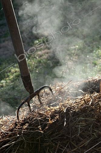 Biosphoto | 1091143 | Horse manure smoking with a fork-spade in a garden | &copy; Philippe Giraud / Biosphoto