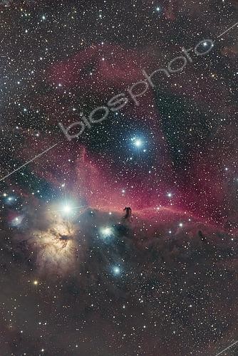 Biosphoto | 2484167 | Horsehead Nebula (Barnard 33) and Flame Nebula (NGC 2024). | © Reinhold Wittich / Stocktrek Images / Biosphoto