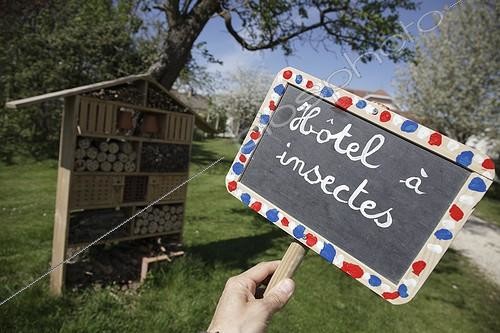 Biosphoto | 1995112 | Hôtel à insectes - A l'Ecole de la Biodiversité ; Projet mis en place par la Région Champagne Ardenne pour la sensibilisation des enfants à l'école sur la Biodiversité. L'AFPAN l'Or Vert est impliqué dans ce projet pour faire travailler des photographes régionaux sur ce projet. | &copy; Rémy Courseaux / Biosphoto