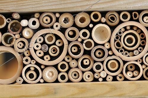 Biosphoto | 1958588 |  Hôtel à insectes  dans un jardin | &copy; Catherine Fruhinsholz / Biosphoto