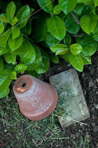 Biosphoto | 890669 |  Hôtel à insectes  dans un jardin | &copy; Philippe Giraud / Biosphoto