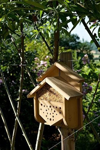 Biosphoto | 891730 | Hôtel à insectes en bois Jardin des Paradis Cordes-sur-Ciel | &copy; Philippe Giraud / Biosphoto