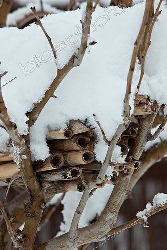 Biosphoto | 1091166 |  Hôtel à insectes  sous la neige dans un jardin | &copy; Philippe Giraud / Biosphoto