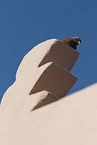 Biosphoto | 1987487 | House Bunting on a wall - Medina Marrakech Morocco | &copy; Anne Claire Monna / Biosphoto