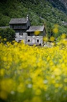 Biosphoto | 1608059 | House in Sonogno, Valle Verzasca valley, canton Ticino, Switzerland, Europe | © Olaf Krueger / imageBROKER / Biosphoto