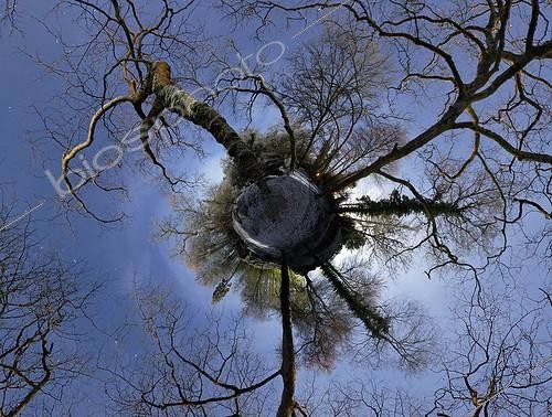 Biosphoto | 1818205 | Huelgoat forest under snow Finistère ; View type small planet | &copy; Laurent Laveder / Biosphoto