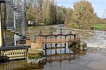 Biosphoto | 2575422 | Huisne River at Champagne, Sarthe, France | &copy; Michel Gile / Biosphoto