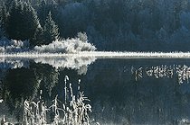 Biosphoto | 1248977 | Ice on the lake and reflect Ilay Jura France  | &copy; Michel Loup / Biosphoto