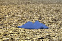 Biosphoto | 1766961 | Iceberg dérivant en été Mer de Weddel Antarctique | &copy; Antoine Lorgnier / Biosphoto