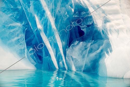 Biosphoto | 2611473 | Iceberg with a blue freeze layer contrasting with the surrounding white ice, Savissivik, northwest Greenland. | &copy; Raphaël Sané / Biosphoto