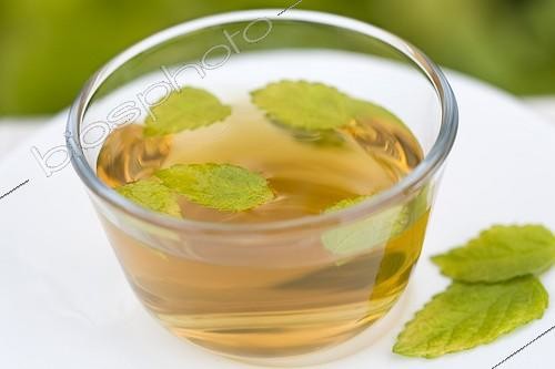 Biosphoto | 687305 | Infusion de Mélisse dorée dans une tasse transparente | &copy; Frédérique Bidault / Biosphoto