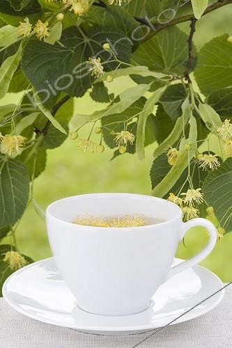 Biosphoto | 687322 | Infusion de Tilleul dans une tasse blanche avec des fleurs | &copy; Frédérique Bidault / Biosphoto