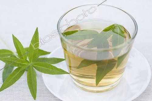 Biosphoto | 687279 | Infusion Verveine in a transparent cup | &copy; Frédérique Bidault / Biosphoto