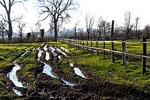 Biosphoto | 2575220 | Inondation dans un pré de l'Arche de la Nature pour les animaux de la ferme, Le Mans Métropole, Sarthe, France | &copy; Michel Gile / Biosphoto