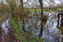 Biosphoto | 2575418 | Inondation en campagne, fossé débordant, Champagne, Sarthe, France | &copy; Michel Gile / Biosphoto