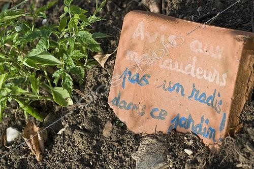 Biosphoto | 1127840 | Inscription humoristique dans un jardin France ; Il est écrit :  Avis aux maraudeurs, pas un radis dans ce jardin !  | &copy; Marc Chatelain / Biosphoto