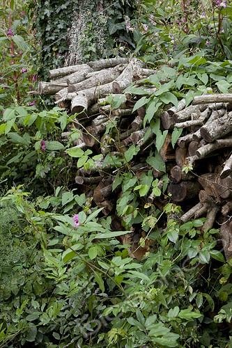Biosphoto | 1249940 |  Insect hotel  in an organic kitchen garden | &copy; NouN / Biosphoto
