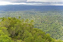 Biosphoto | 2583252 | Inselberg viewpoint of the Nouragues nature reserve. View of the entire forest and canopy from the top of the inselberg. Inselbergs, also known as 