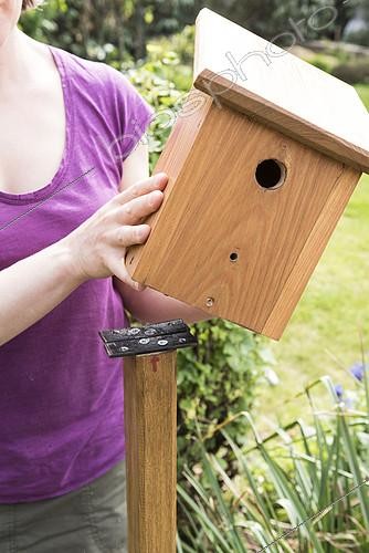 Biosphoto | 2128303 | Installing a nest box in a garden | &copy; Yann Avril / Biosphoto