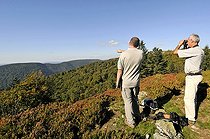 Biosphoto | 1254398 | Inventaire des Orthoptères RN Ballons Comtois Vosges France | &copy; Denis Bringard / Biosphoto