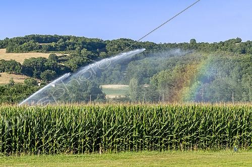 Biosphoto | 2595831 | Irrigation par aspersion d'un champ de maïs bio en juillet, Gers, France | &copy; Marie Aymerez / Biosphoto