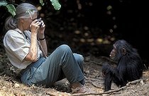 Biosphoto | 59990 | Jane Goodall photographiant un chimpanzé Centre de Gombe | &copy; Michel Gunther / Biosphoto