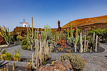 Biosphoto | 2608961 | Jardin de cactus. ; Réhabilitation d'une ancienne carrière de roche volcanique, par César Manrique, architecte natif de l'île. île de Lanzarote, Canaries, Espagne, Europe | &copy; Sylvain Cordier / Biosphoto