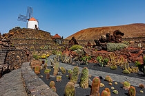 Biosphoto | 2608966 | Jardin de cactus. ; Réhabilitation d'une ancienne carrière de roche volcanique, par César Manrique, architecte natif de l'île. île de Lanzarote, Canaries, Espagne, Europe | &copy; Sylvain Cordier / Biosphoto