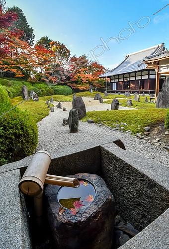Biosphoto | 2102517 | Jardin de pierre au temple Komyoin, Kyoto, Japon | &copy; Vincent Marion / Biosphoto