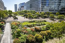 Biosphoto | 2588007 | Jardin et parc dans le cadre du projet de végétalisation de la dalle de La Défense au niveau de la place des Pyramides proche de Paris, à Courbevoie, France. | &copy; Antoine Boureau / Biosphoto