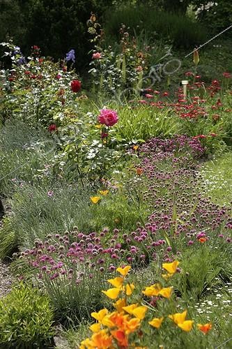 Biosphoto | 1436812 | Jardin fleuri au printemps | &copy; Patricia Méaille / Biosphoto