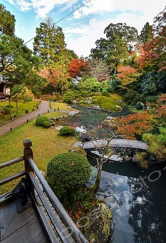 Biosphoto | 2102529 | Jardin japonais au Temple Shoren-in, Kyoto, Japon | &copy; Vincent Marion / Biosphoto