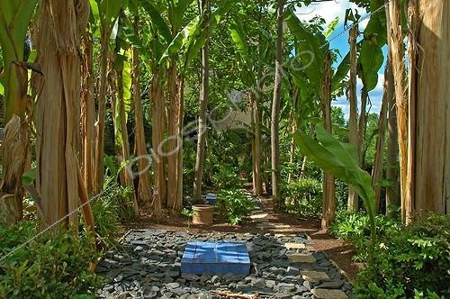 Biosphoto | 94094 | Jardin oriental au Jardin des Paradis Cordes / Ciel | &copy; Frédéric Didillon / Biosphoto