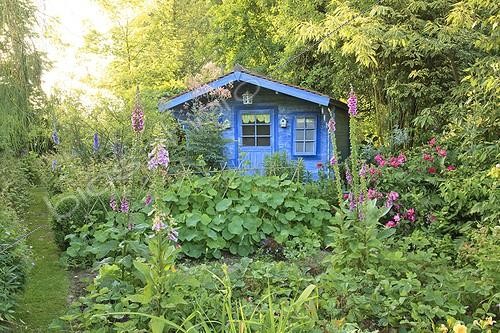Biosphoto | 1001675 | Jardin potager et cabane bleue Le Jardin des Lianes ; Clôture d'osier tressé couverte de capucines, digitales, rosiers. Le jardin des lianes | &copy; Hervé Lenain / Biosphoto