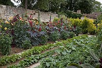 Biosphoto | 1250602 | Jardin potager fleuri | &copy; NouN / Biosphoto