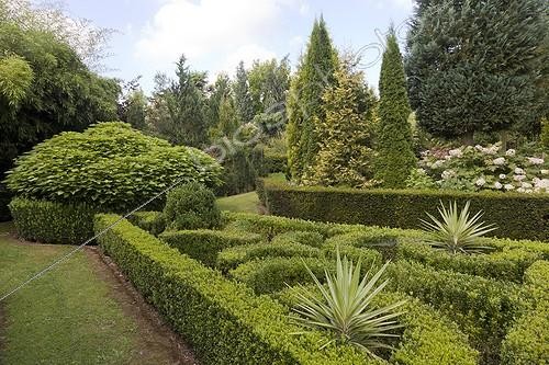 Biosphoto | 1994403 | Jardins de LY in Picardie - France | &copy; Dominique Dumas / Biosphoto