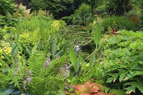 Biosphoto | 14887 | Jardins de Plantbessin | &copy; Frédéric Didillon / Biosphoto