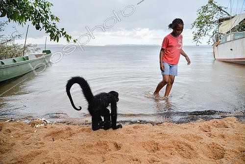 Biosphoto | 2467378 | Jeune singe atèle ou singe araignée noir (Ateles paniscus) au bord de l'eau sur une plage avec fillette en Guyane Française | &copy; Stéphanie Meng / Biosphoto