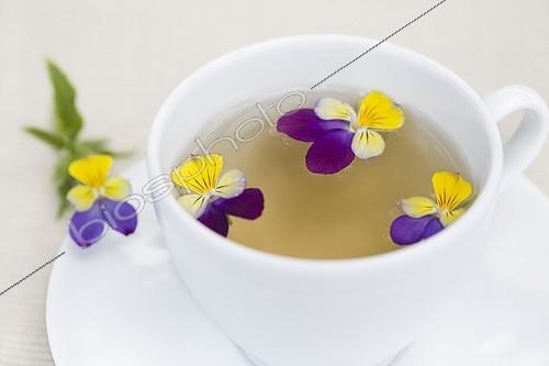 Biosphoto | 687328 | Johnny Jumpup infusion in a cup  | &copy; Frédérique Bidault / Biosphoto