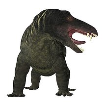 Biosphoto | 2471301 | Jonkeria dinosaur on white background. Jonkeria truculenta was an omnivorous therapsid dinosaur that lived in South Africa during the Permian Period. | &copy; Corey Ford / Stocktrek Images / Biosphoto