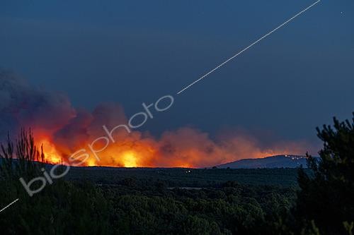 Biosphoto | 2625918 | July 21, 2026, forest fire in Pontevès, Var, France | &copy; Yann Avril / Biosphoto