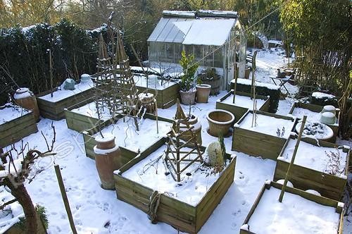 Biosphoto | 900511 | Kitchen garden under snow in winter | &copy; Alexandre Petzold / Biosphoto