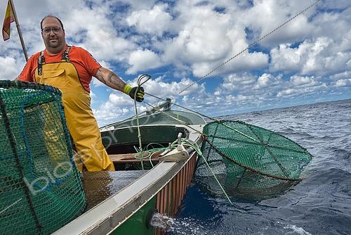 Biosphoto | 2609482 | La pêche à la crevette (Plesionika narval) est une activité traditionnelle pratiquée à partir de petits bateaux. On utilise des pièges (pots) qui sont placés sur le fond marin à des profondeurs de 50 à 150 mètres. Elle est pratiquée toute l'année, bien que les prises soient plus abondantes en été. La production est principalement destinée à la consommation locale. Navire : Drago. Pêcheur : José Lucio León Díaz (modèle relâché). Guilde des pêcheurs de San Roque et Isla Baja de Garachico, Ténériffe. Îles Canaries. | &copy; Sergio Hanquet / Biosphoto