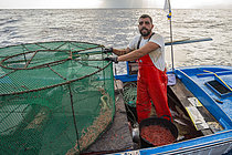 Biosphoto | 2609497 | La pêche à la crevette (Plesionika narval) est une activité artisanale pratiquée à partir de petits bateaux. On utilise des pots (pièges) qui sont placés sur le fond marin à des profondeurs comprises entre 50 et 150 mètres et qui permettent également de capturer quelques poissons. Elle est pratiquée toute l'année, bien que les prises soient plus abondantes en été. La production est principalement destinée à la consommation locale. Navire : El Puma. Pêcheur : Ayoze Rodríguez (modèle relâché). Guilde des pêcheurs de San Marcos à Icod de los Vinos, Tenerife. Îles Canaries. | &copy; Sergio Hanquet / Biosphoto