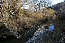 Biosphoto | 1250884 | La Salette River in winter Provence France | &copy; Michel Gunther / Biosphoto