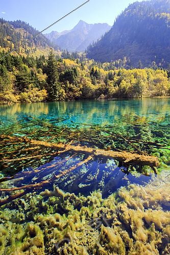 Biosphoto | 2081370 | Lac coloré, Vallée de Jiuzhaigou, Sichuan, Chine | &copy; Sylvain Cordier / Biosphoto